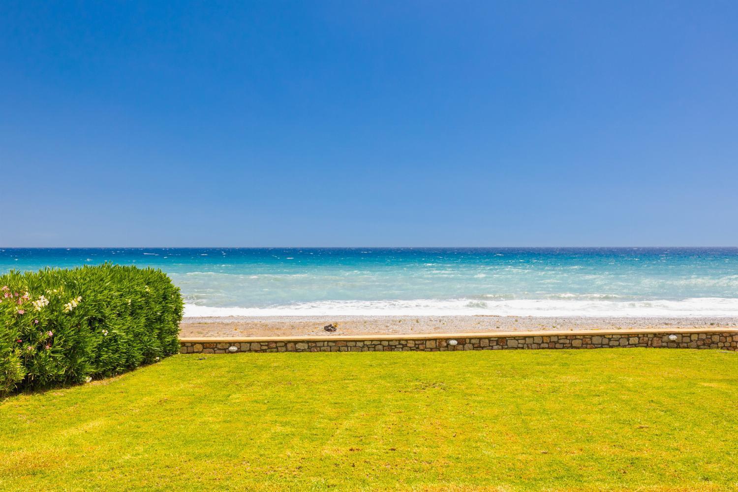 Metis Lachania (Rhodes)